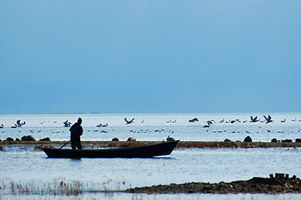 اجرای تصفیه خانه ها در بندرگز و بندرترکمن / تاثیر کارخانه ید، پتروشیمی و پسماند بر تالاب ها